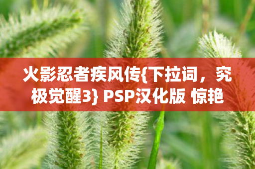 PSP汉化版 惊艳迭代来袭图片