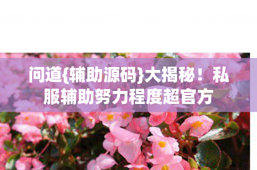 私服辅助努力程度超官方图片
