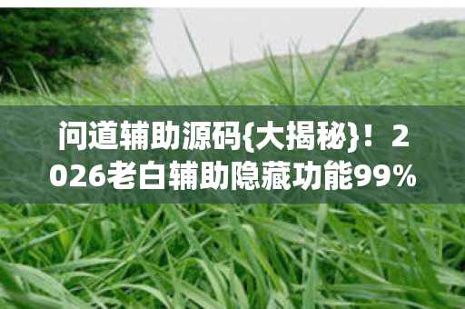 2026老白辅助隐藏功能99图片