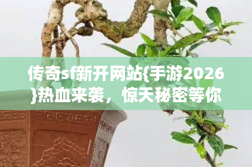 传奇sf新开网站{手游2026}热血来袭，惊天秘密等你探！