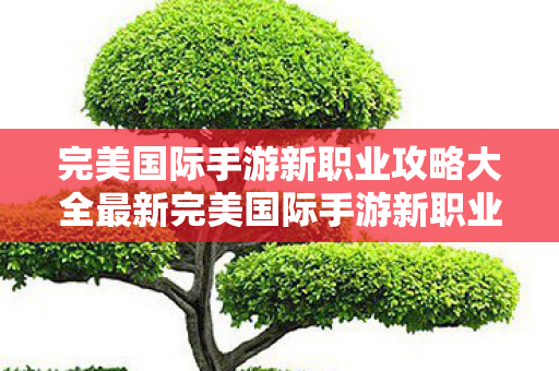 完美国际手游新职业攻略大全最新完美国际手游新职业攻略大全图片
