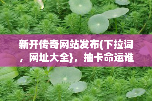新开传奇网站发布{下拉词,网址大全},抽卡命运谁审判自由? 新开传奇网站发布{下拉词,网址大全},抽卡命运谁审判自由?