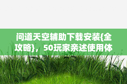 问道天空辅助下载安装图片