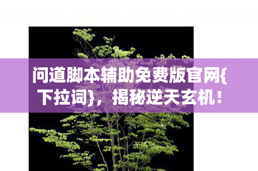 问道脚本辅助免费版官网图片