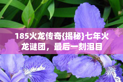 185火龙传奇{揭秘}七年火龙谜团,最后一刻泪目 185火龙传奇{揭秘}七年火龙谜团,最后一刻泪目