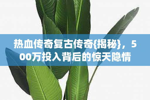 热血传奇复古传奇{揭秘},500万投入背后的惊天隐情 热血传奇复古传奇{揭秘},500万投入背后的惊天隐情