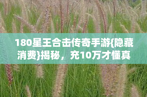 180星王合击传奇手游{隐藏消费}揭秘,充10万才懂真相 180星王合击传奇手游{隐藏消费}揭秘,充10万才懂真相