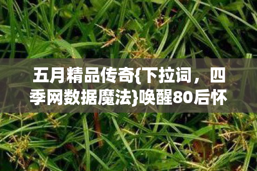 五月精品传奇{下拉词,四季网数据魔法}唤醒80后怀旧热潮 五月精品传奇{下拉词,四季网数据魔法}唤醒80后怀旧热潮