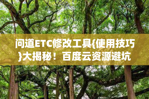 问道ETC修改工具图片