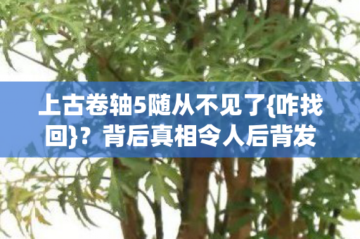 上古卷轴5随从不见了图片