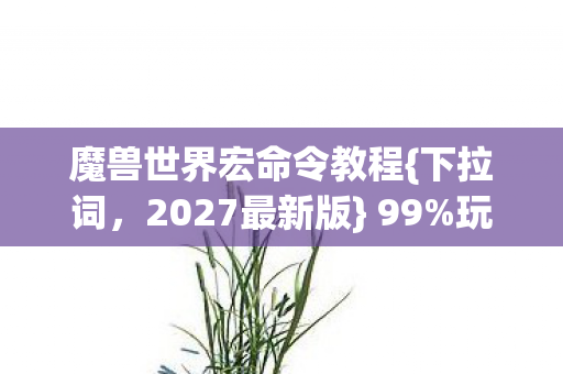 魔兽世界宏命令教程图片