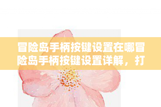 冒险岛手柄按键设置在哪冒险岛手柄按键设置详解，打造流畅游戏体验，冒险岛手柄按键设置详解，打造流畅游戏体验