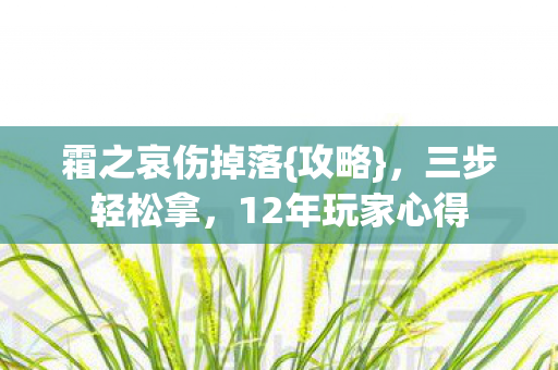 12年玩家心得图片
