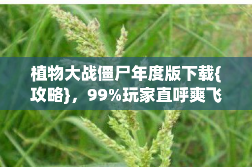 植物大战僵尸年度版下载图片