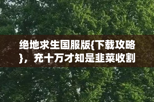 充十万才知是韭菜收割机图片