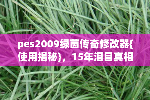 pes2009绿茵传奇修改器图片