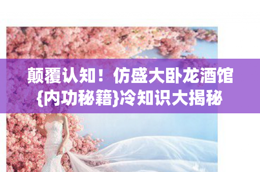颠覆认知!仿盛大卧龙酒馆{内功秘籍}冷知识大揭秘 颠覆认知!仿盛大卧龙酒馆{内功秘籍}冷知识大揭秘