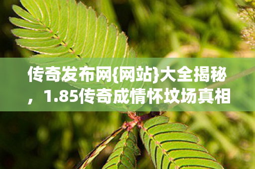 传奇发布网{网站}大全揭秘，1.85传奇成情怀坟场真相
