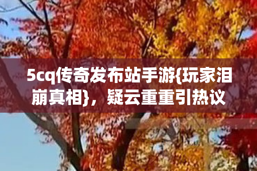 5cq传奇发布站手游图片