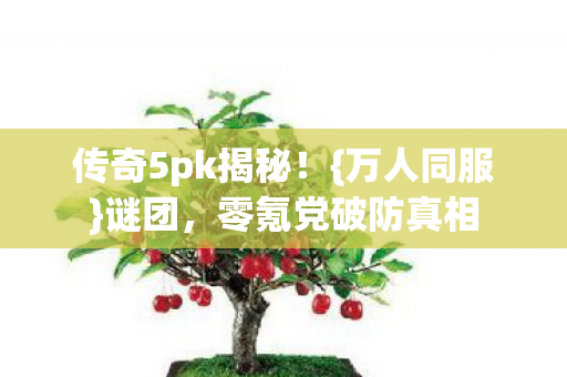 传奇5pk揭秘图片