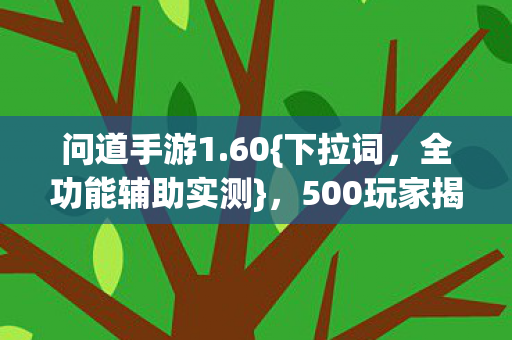 500玩家揭秘真香还是坑图片