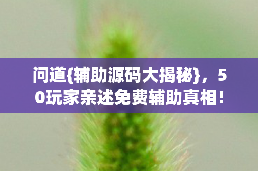 50玩家亲述免费辅助真相图片