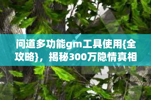 问道多功能gm工具使用图片