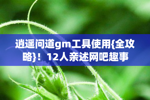 逍遥问道gm工具使用图片