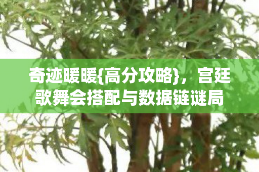 宫廷歌舞会搭配与数据链谜局图片