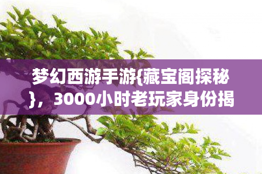 3000小时老玩家身份揭秘心酸图片