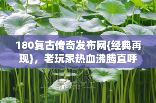 老玩家热血沸腾直呼爷青回图片