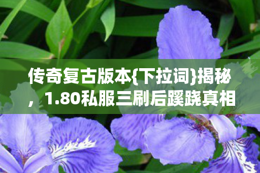 80私服三刷后蹊跷真相图片