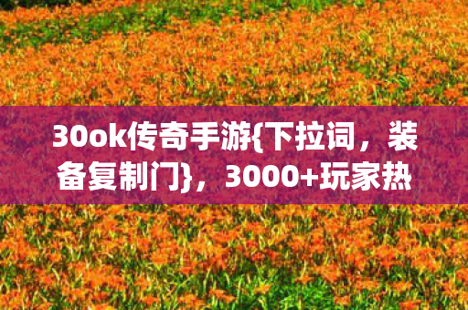 30ok传奇手游图片