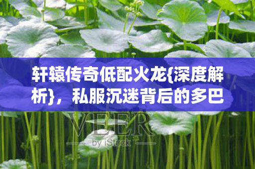 私服沉迷背后的多巴胺陷阱图片