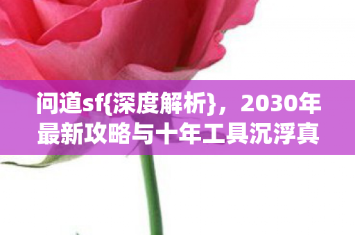 2030年最新攻略与十年工具沉浮真相图片