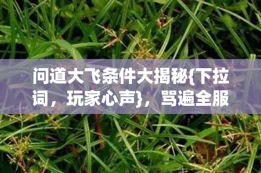 问道大飞条件大揭秘图片