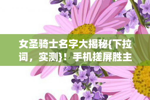 女圣骑士名字大揭秘图片