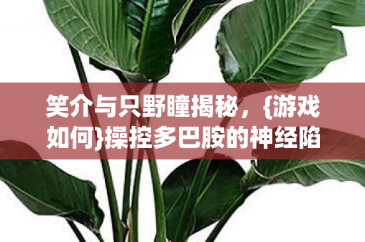 操控多巴胺的神经陷阱图片