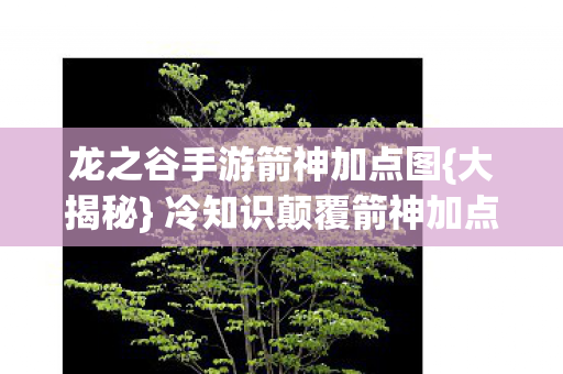 冷知识颠覆箭神加点认知图片
