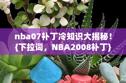 nba07补丁冷知识大揭秘图片