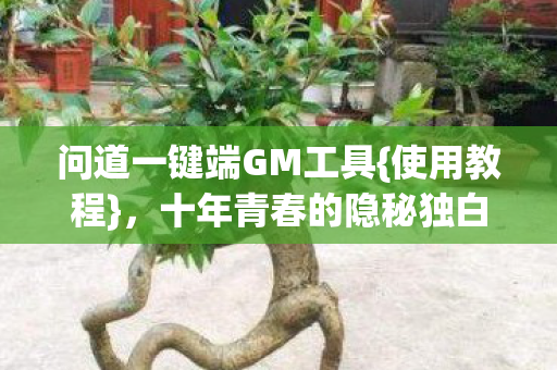 问道一键端GM工具图片