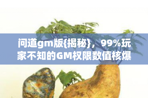 玩家不知的GM权限数值核爆机制图片