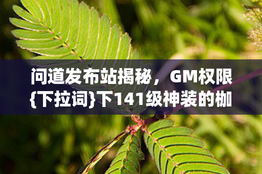 下141级神装的枷锁图片