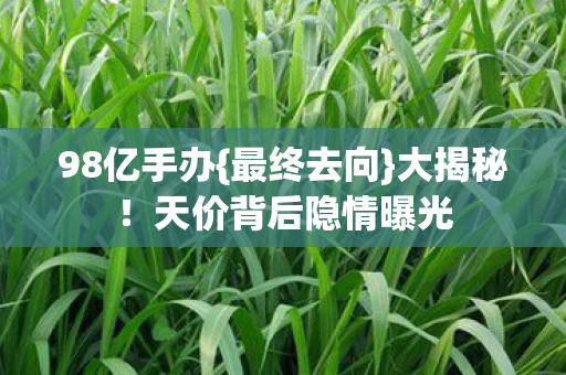 天价背后隐情曝光图片