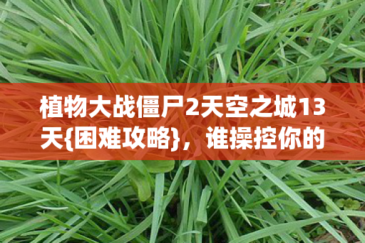 植物大战僵尸2天空之城13天图片