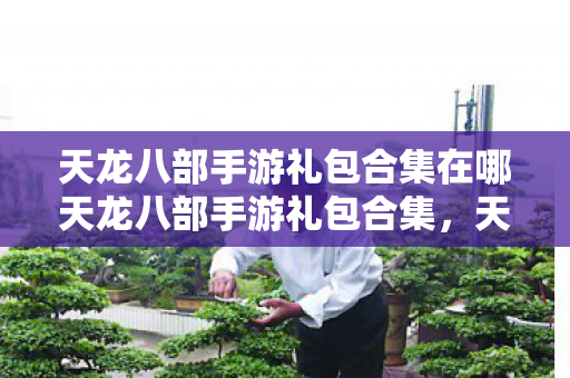 天龙八部手游礼包合集在哪天龙八部手游礼包合集图片
