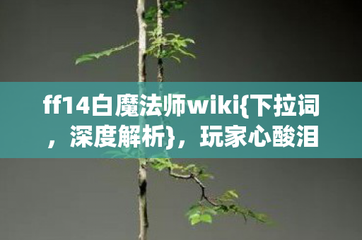 ff14白魔法师wiki图片