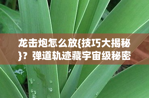 弹道轨迹藏宇宙级秘密图片