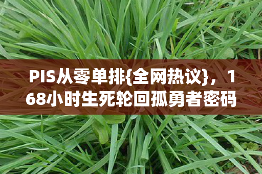 168小时生死轮回孤勇者密码图片