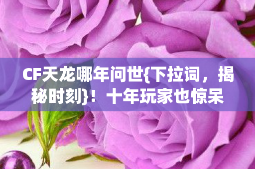 十年玩家也惊呆的真相图片